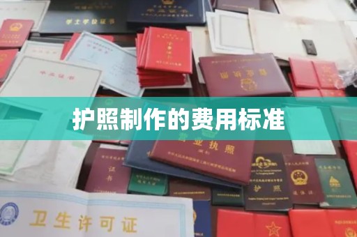 怀化护照制作的费用标准